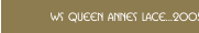 WS Queen Annes Lace